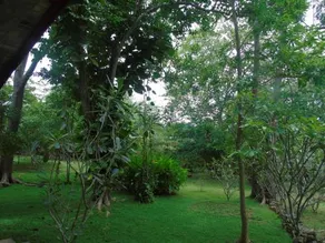 Udawalawa Safari Villa - Image 5