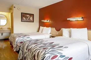 Red Roof Inn Pittsburgh North Cranberry Township - Image 5