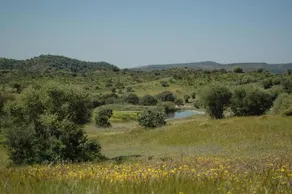 Albergue Rural de Fuente Agria - Image 2
