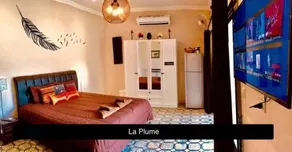 La Plume - Image 5