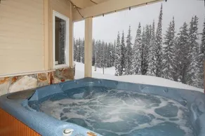 Vacation Homes by The Bulldog Knight Star Lodge Properties - Image 3