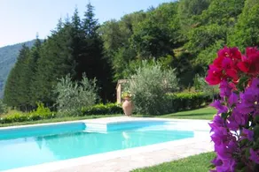 Villa Il Seccatoio - Image 2