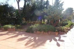 Villas Los Leones - Image 5