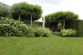 Quo Vadis - Image 5