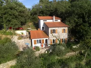 The House In The Green - Image 3
