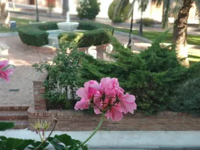 Apartamento Cabrera - Image 3