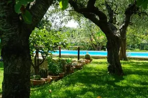 5 bedrooms villa with private pool enclosed garden and wifi at Treglio 6 km away from the beach - Image 4