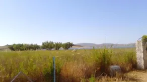 Beach Lichna - Image 3