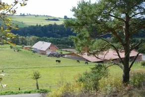 Pferdezentrum Edersee - Image 5