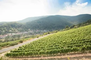 Haus am Weinberg - Image 3