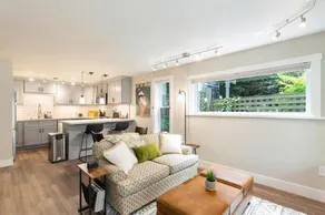 Madison Park Seattle with Outdoor Private Garden and Grill 1BR 1BA - Image 4