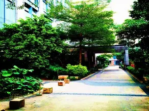 Guangzhou Bontai Aparthotel - Image 3