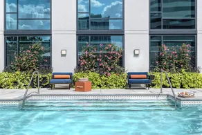 SHERATON CLAYTON PLAZA HOTEL ST. LOUIS - Image 4