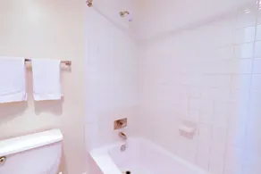 Upscale Apartments in Crystal City - Image 3