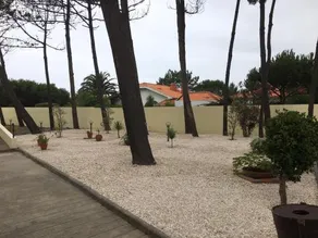 Pinhal D'aberta - Image 4