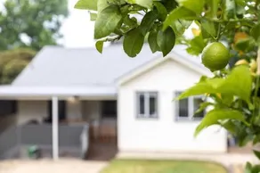 Lemon & Myrtle Cottage - Image 5