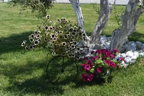 Littore Maris - Image 4