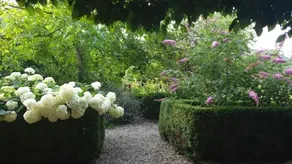 B&B Helena's Hoeve - Image 2