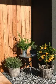 Boutique-Pension seeherberge - Image 2