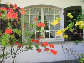 B&B VAEMENIA - Image 3