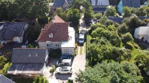 Pas Emilija - Image 3