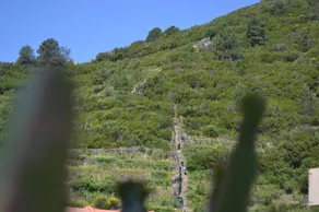 Luciano - Image 5
