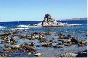 La Gambina - Image 1