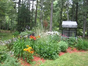 Gîte La Sérénade - Image 3