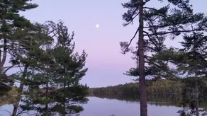 Sunrise Pines - Image 4