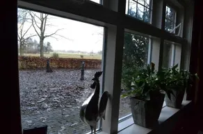 De Hooge Woeste - Image 2
