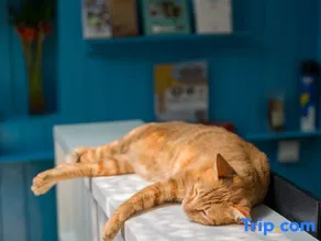 Soft Time Hotel - Image 4