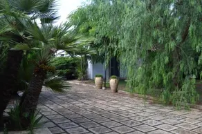 Villa Dei Cedri - Image 5