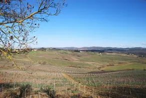 Villa Faule - Image 5