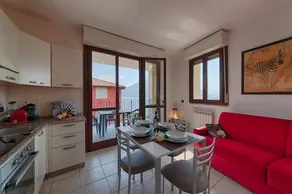 Mimosa - Image 2
