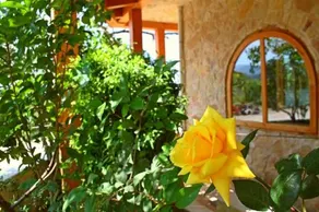 Casa Toni - Image 3