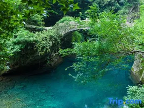Mount Yandang Linfeng Shanshe Guesthouse - Image 4