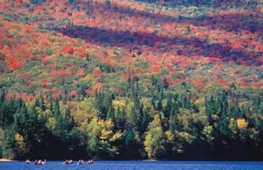 GIte Parc Mauricie B&B - Image 4