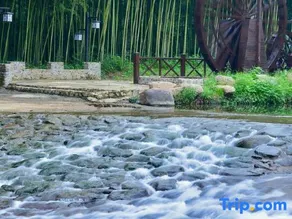 Tingxi - Image 4