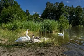 Apartmány Poslův Mlýn - Image 4