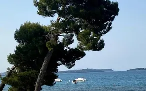 Apartments Villa Bubi - Image 2
