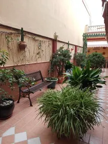 Hostal Monteolivos - Image 2