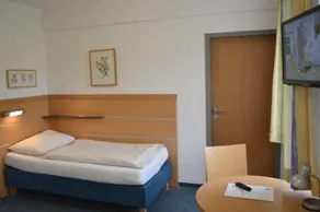 Bildungswerkstatt Mold - Image 5