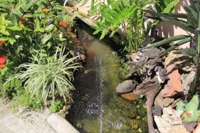 Pousada Vista Bela - Image 1