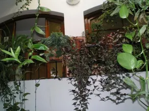 Hostal Maurin - Image 3