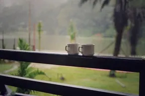 Hotel Khalsa Lake View - Image 3