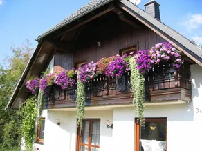 Beautiful Apartment in Pöhla Saxony near Ski Area - Image 4