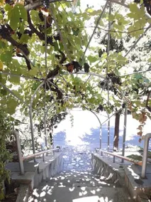 Hotel Kinira - Image 4