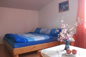 Pferdezentrum Edersee - Image 3