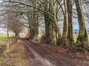 Beautiful Gite in Vaux sur sure in the Heart of Nature - Image 5