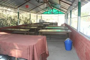 Natural Camps with InHouse Swimming Pool - Image 2